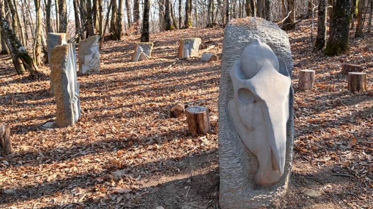 Od kod prihajajo Baba, Ajdi in Lintver