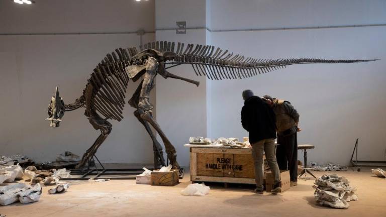 Tudi Trst ima svoj jurski park