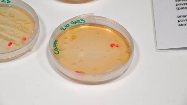 Mladi spoznavali poklice prihodnosti