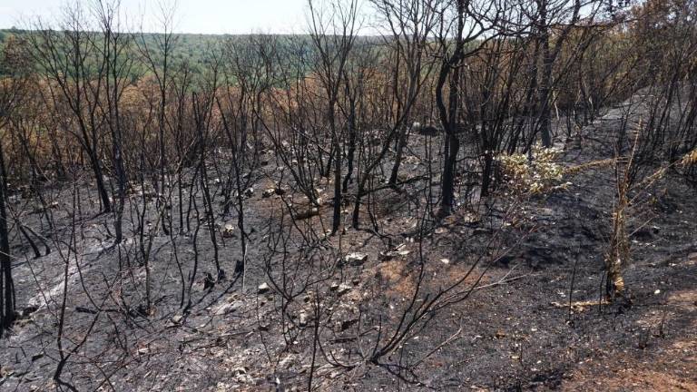 Na Vrh se lahko peljejo le stanovalci