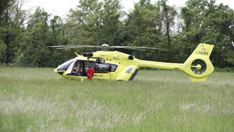 Pri Tolmeču ga je v gozdu zmečkal hlod