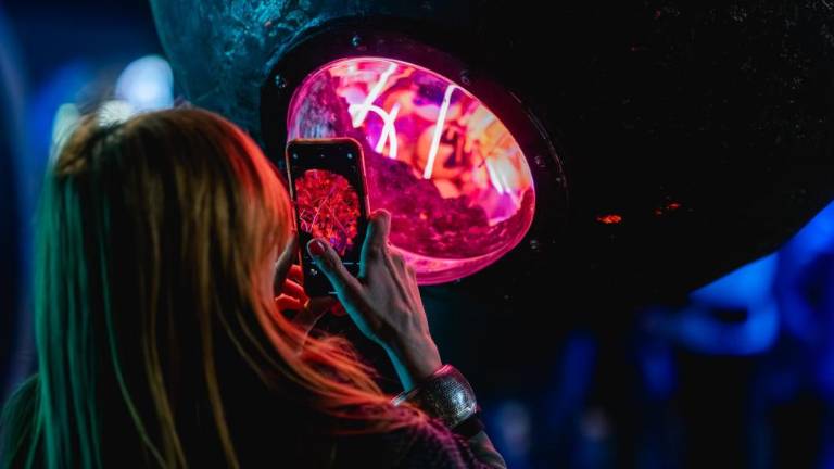 Nova Gorica spet zažarela