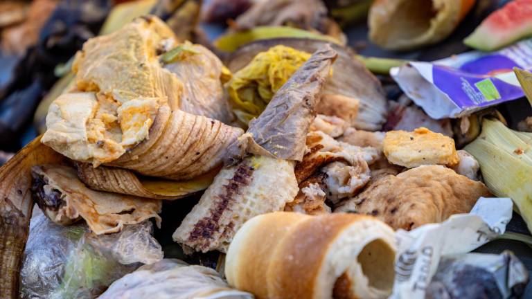 Prebivalec EU predlani zavrgel 129 kilogramov odpadne hrane