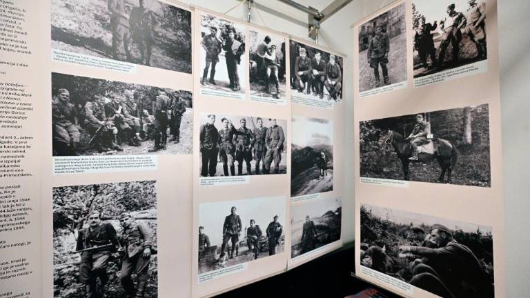 Partizanski upor med drugo svetovno vojno na Krasu