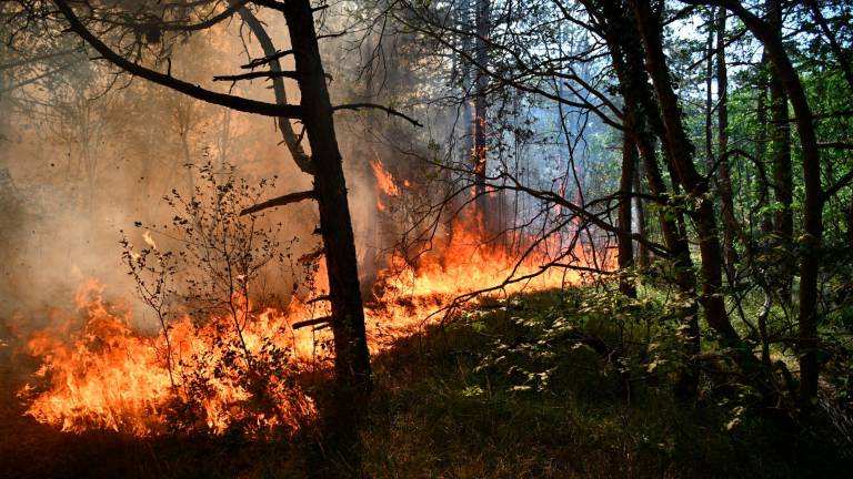 Gori širše območje pri Padričah, priletel helikopter (FOTO in VIDEO)