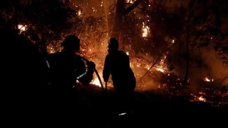 Požar povzročil ekološko katastrofo (foto)