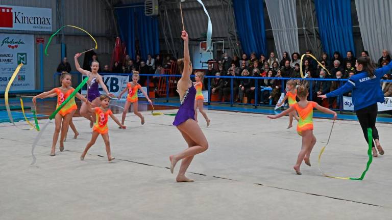 Borova božična akademija