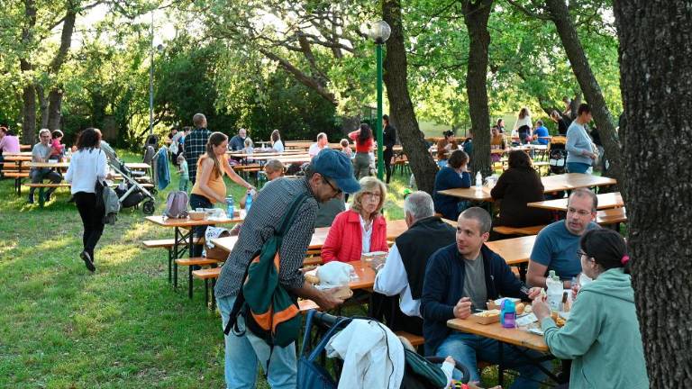 61. Praznik češenj v Mačkoljah