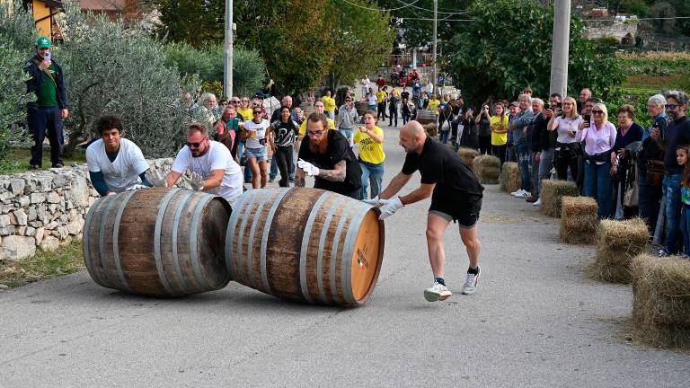 V Zagradcu so kotalili sode