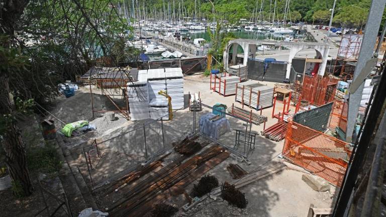 Čupin sedež pogumno raste