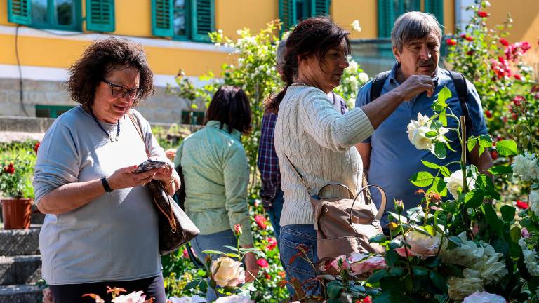 Jubilejni cvetlični sejem Horti Tergestini privabil številne obiskovalce