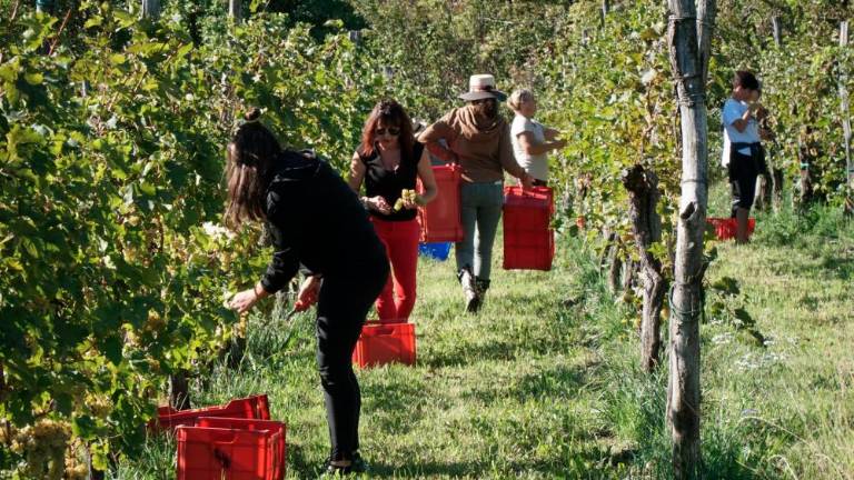 Trgatev za bolj inkluzivno družbo