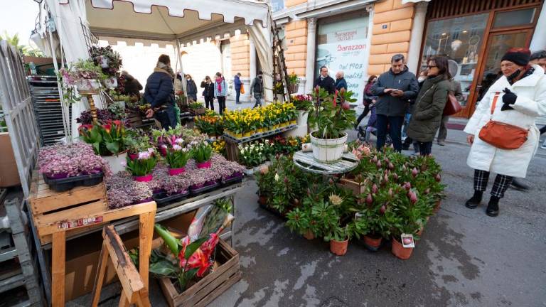 Na cvetličnem sejmu več spominkov kot rastlin