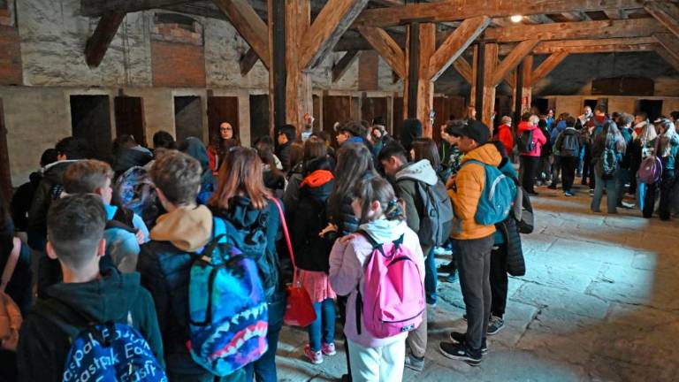 »Med poukom sem izvedel, da je v Trstu bilo koncentracijsko taborišče«