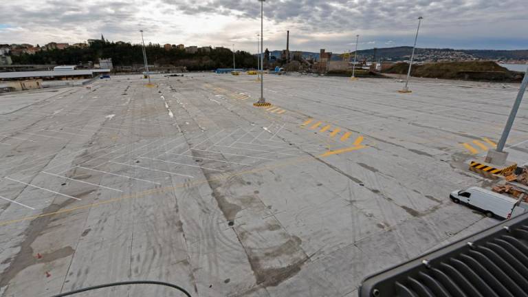 Kjer je bilo morje, zdaj stoji žerjav