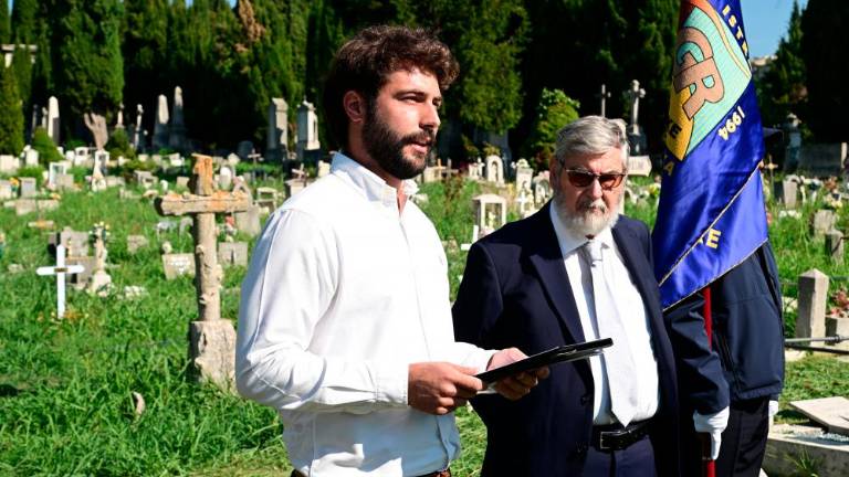 Želi si Evrope s koreninami in perutmi