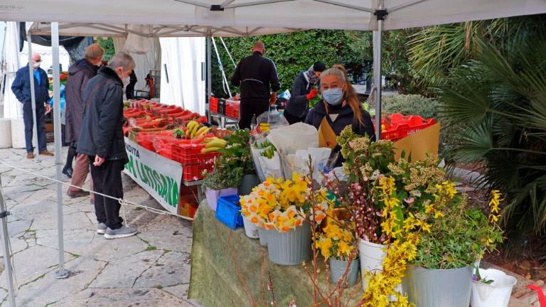 Zadnja barkovljanska »rožnarca« na Trgu sv. Antona