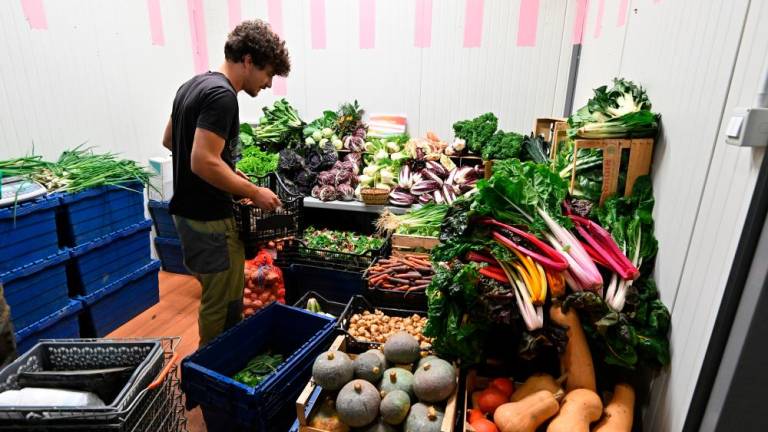Sejem kakovostne hrane Farmer &amp; Artist na Pokriti tržnici