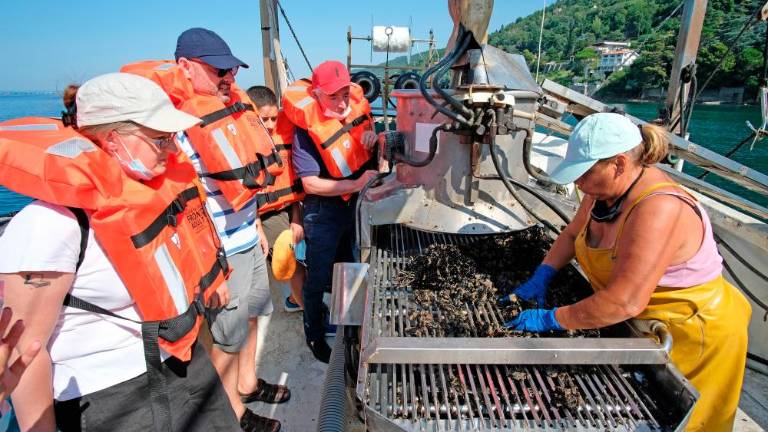 Morju prijazni nasadi