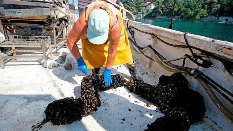 Na morju z gojitelji klapavic