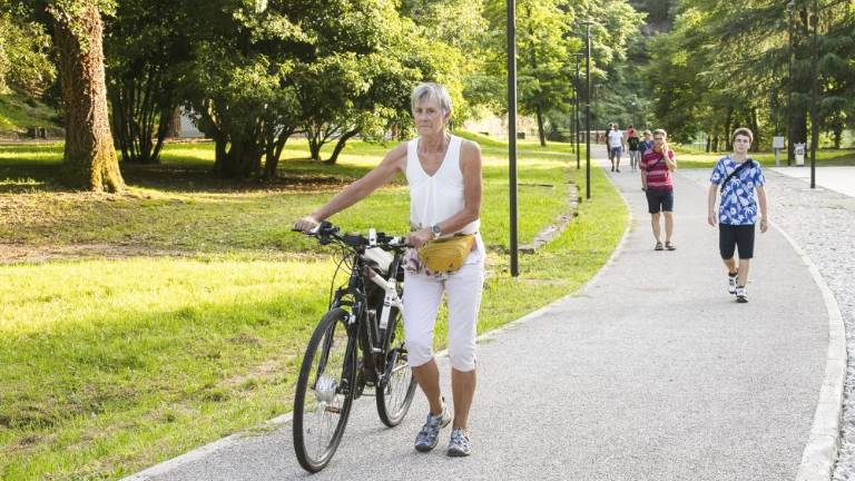 Brezmejno zeleno bogastvo Goric