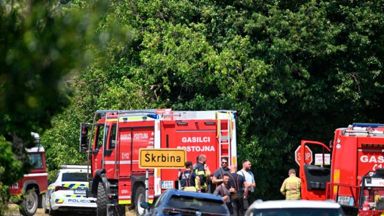 Zagorelo na dveh mestih, ogenj naj bi bil podtaknjen (foto in video)