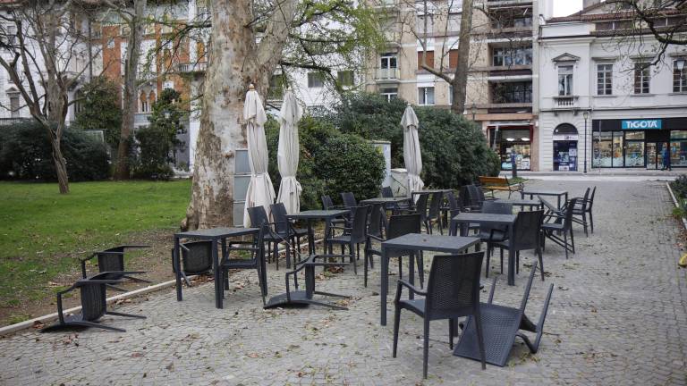 Veter povzroča težave v Gorici in okolici (FOTO)