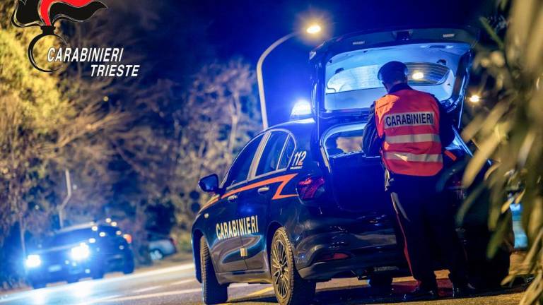 Na Krasu prijeli moškega in ga odvedli v zapor