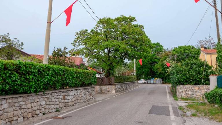 1. maj v Dolini, Zgoniku, Lonjerju in Gropadi