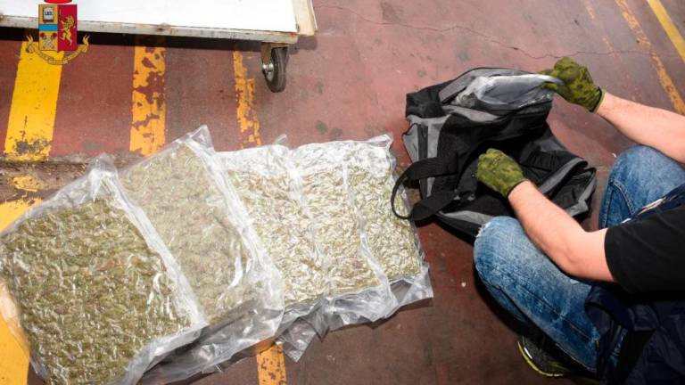 Marihuano tihotapil iz Španije na Hrvaško (VIDEO)