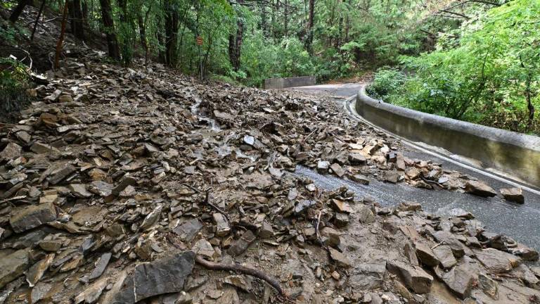 V občini Dolina po neurju ponovno odpirajo ceste