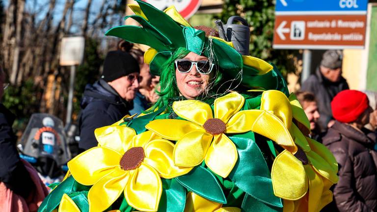 Obrazi 57. Kraškega pusta