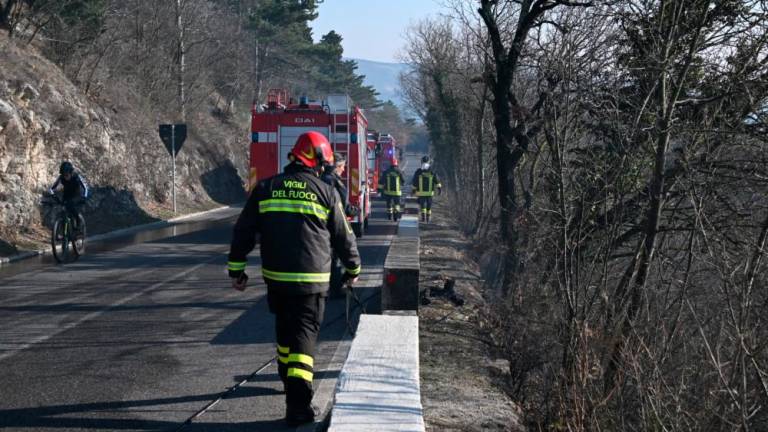 Požar ob cesti za Bazovico pod nadzorom