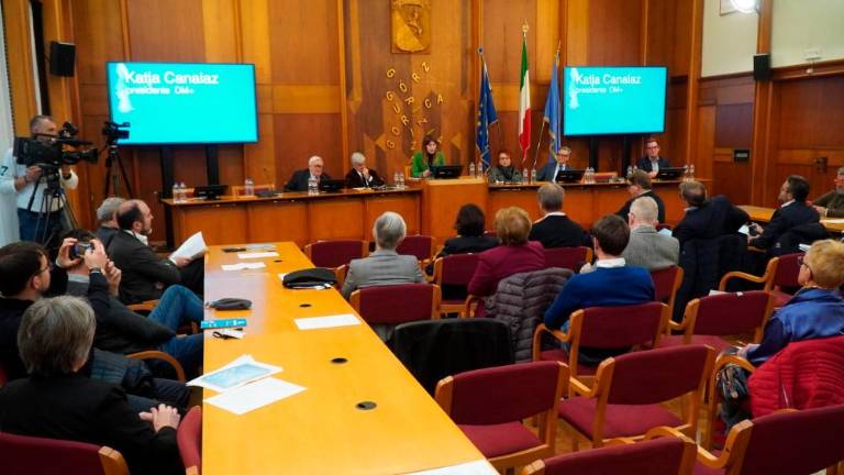 Posvetu društva DM+ v Gorici (MAREGA/TIBALDI)