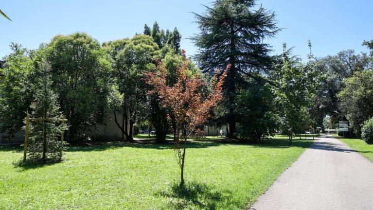 Pred začetkom poletja 2025 bo zaživel prenovljeni park Basaglia