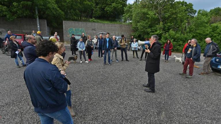 Proti cesti, ki bi stala 185 katinarskih dreves