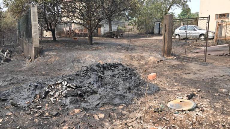 Razmere v tržaški in goriški pokrajini stabilne (video)