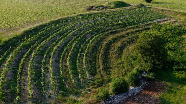 Tehnologija v službi kmetovalcev in ribičev
