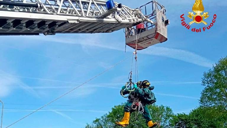 Krava tvegala utopitev v gnojnični jami