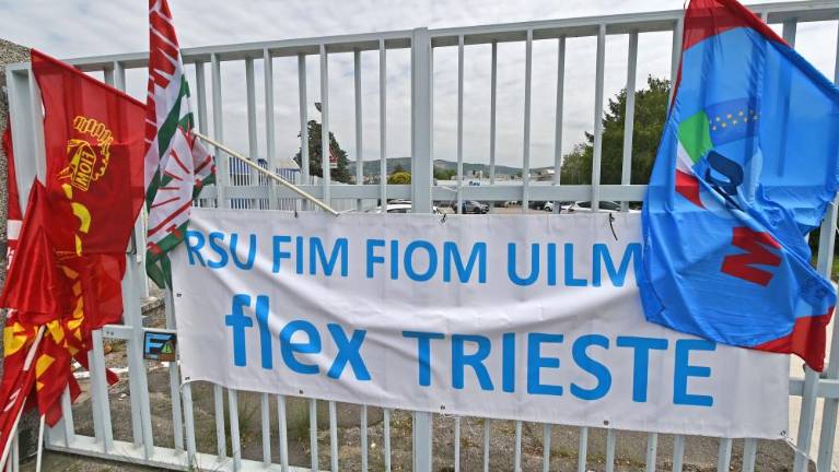 8. februarja shod za delavce tovarne Flex v Trstu