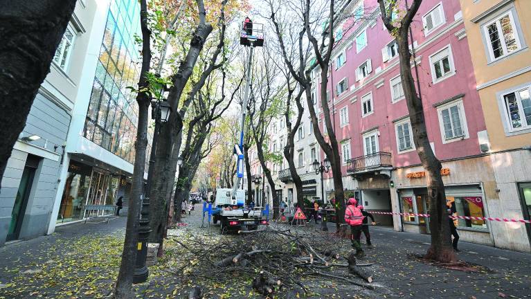 Ponekod beton prekriva 90% ozemlja