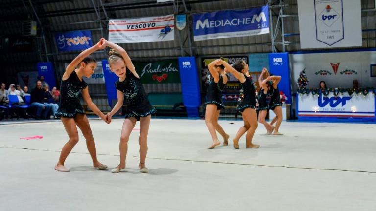 Tradicionalna Božična akademija Borovih ritmičark