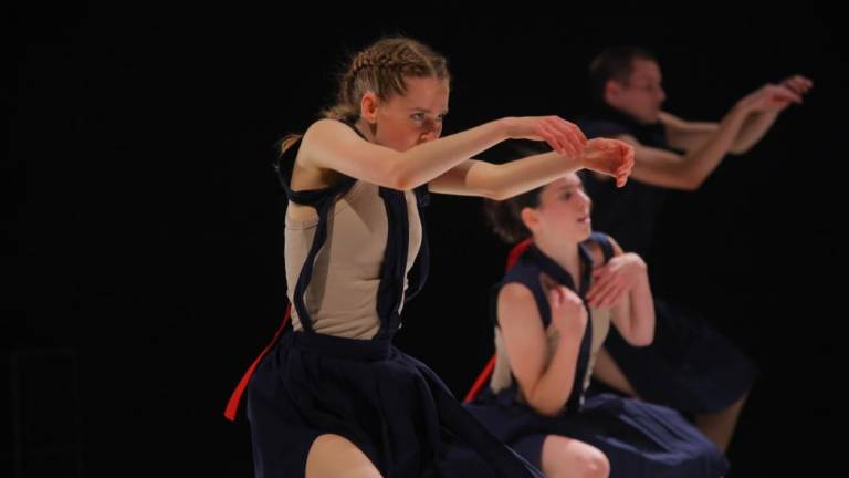 Čezmejni plesni festival Visavì se širi