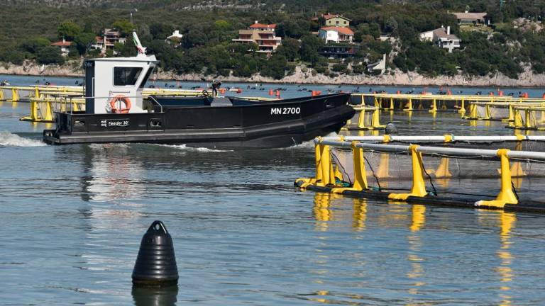 Ob devinski obali gojijo brancine in orade