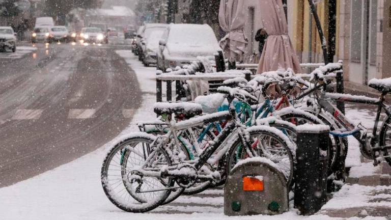 Sneg danes pobelil tudi Goriško (foto)