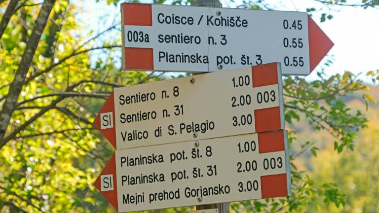 Jesenski pohod na Kohišče