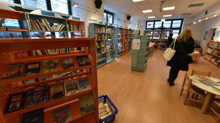 Oddelek za mlade bralce NŠK nedostopen