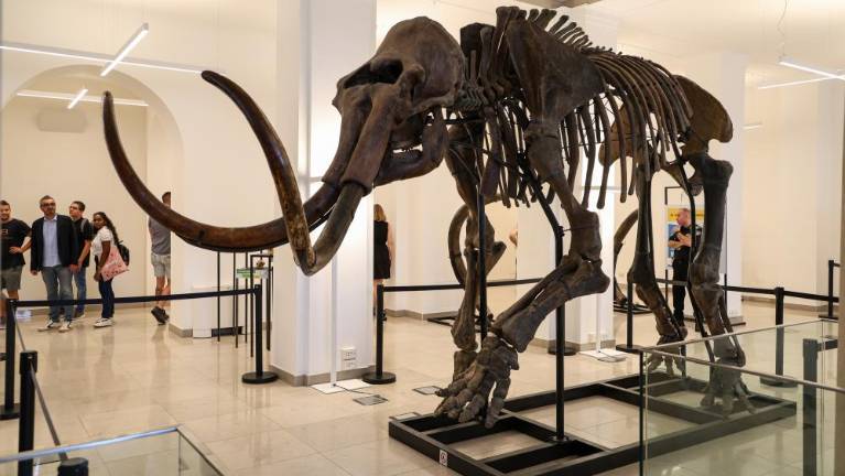 Deželno palačo bo obiskal mamut