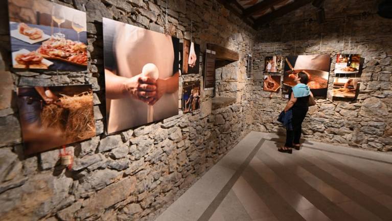 Dominique Pozzo o Krasu preko petih čutov