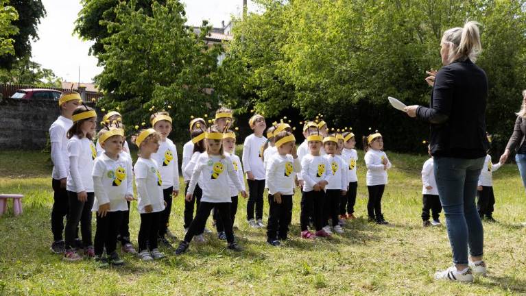 Javnost hočejo seznaniti, kako pomembne so čebele